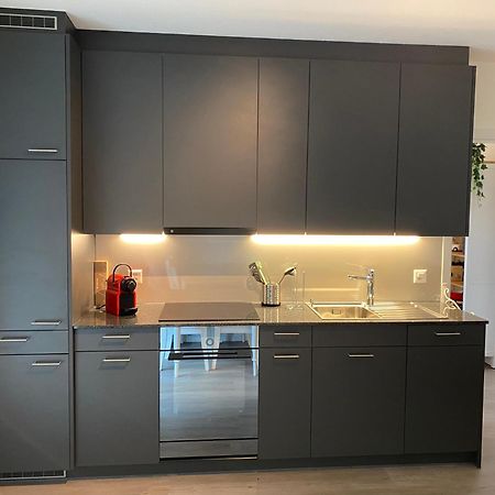 Beautiful Flat With Nice Lake And Mountain Views Weggis Exterior foto